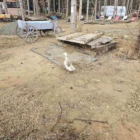 шангри ла-3, плаж градина Kemping